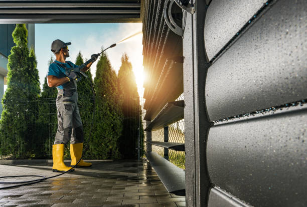 Best Exterior Home Cleaning  in Carroll, IA