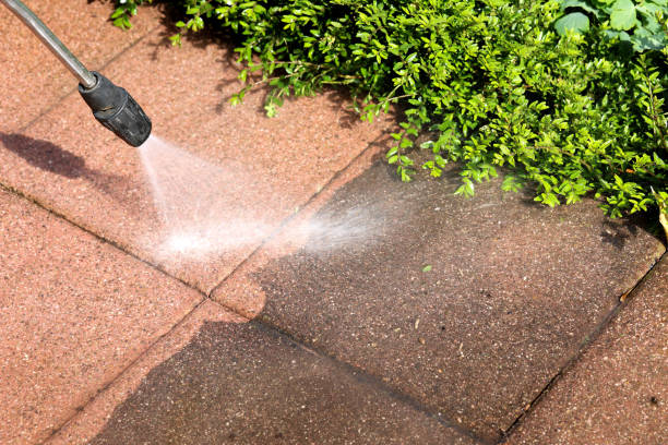 Best Commercial Building Pressure Washing  in Carroll, IA